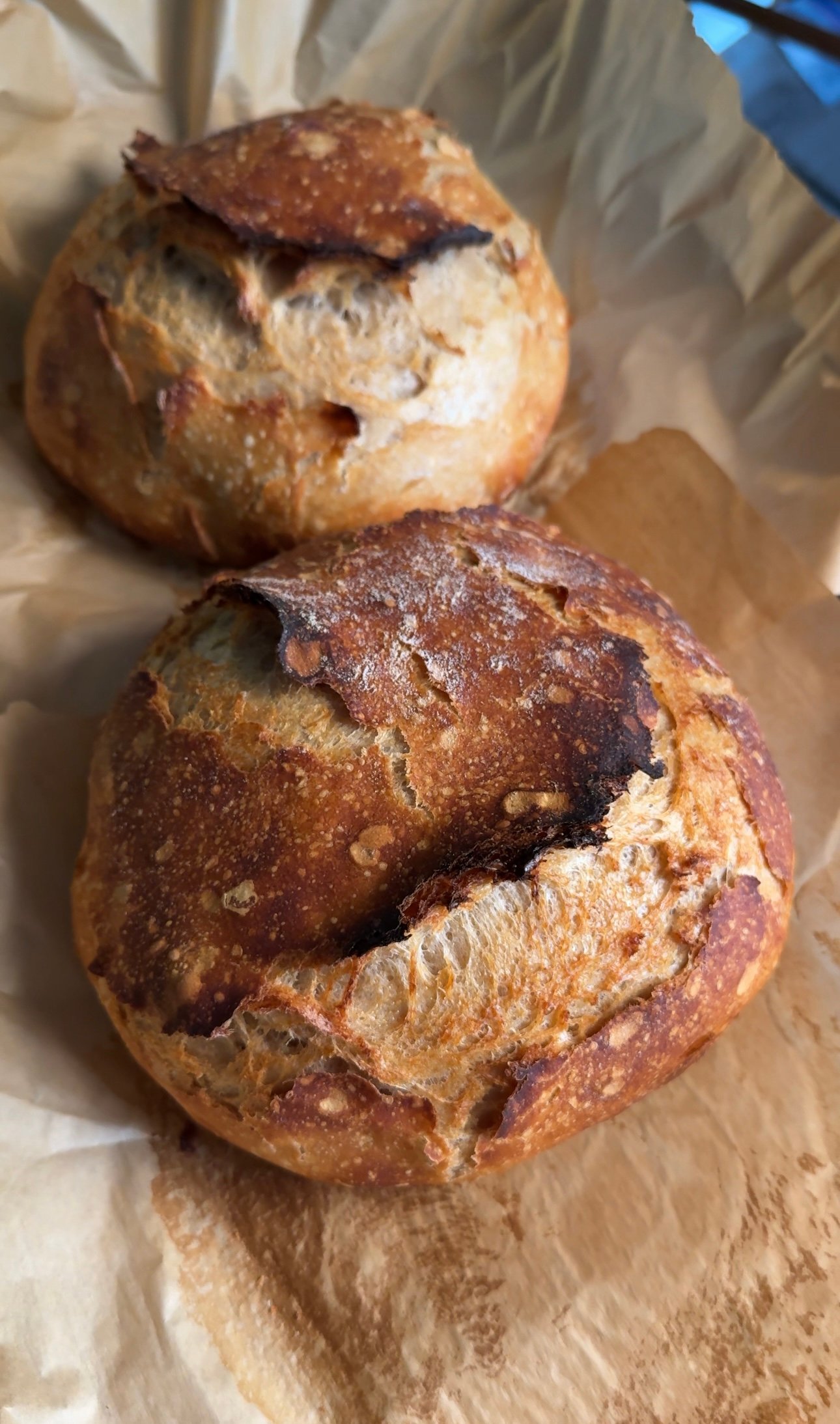 Classic Sourdough Bread (Easy Dutch Oven Recipe)