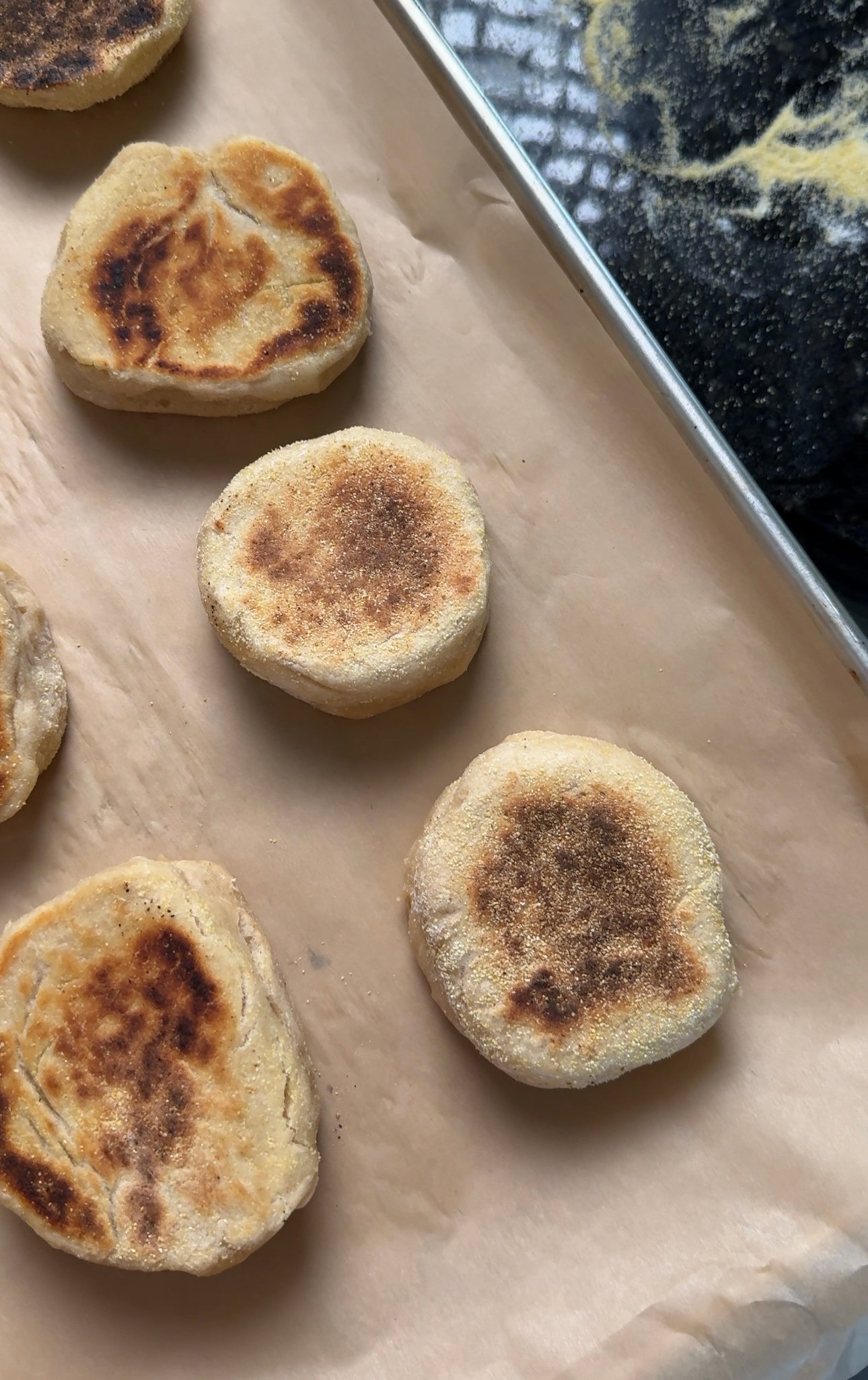Sourdough English Muffins (Soft, Chewy & Golden)